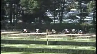 Bet Twice - 1987 Belmont Stakes