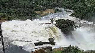 South Africa Today on 31 December 2025