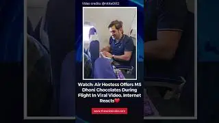 Air Hostess Offers MS Dhoni Chocolates During Flight In Viral Video. #shorts