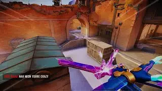what 95% Neon pickrate looks like…