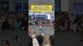 2 STUPID ROBOTS Fighting to the END Funniest Robot Fight Ever! #RobotBattle #Robots #AI #Funny