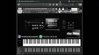 SAMPLES Los Telez - Gritaria (INTRO) | KONTAKT KORG KMP SF2 CAUSTIC WAV IPAD [AYALA RECORDS MEXICO]