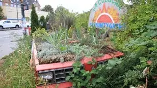 Clark & Broadway Community Garden Rejuvenation