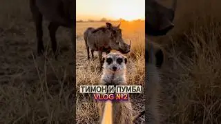 Тимон и Пумба | vlog №2 - великая охота #ai #trending #animals #explore