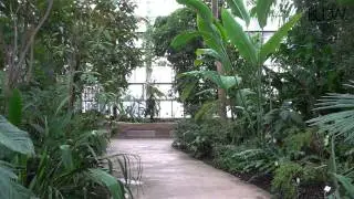 BERLIN - Botanischer Garten I