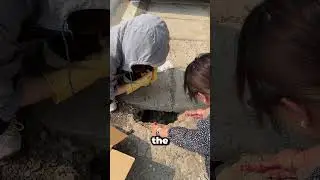 👩&zwj;🦱 Two Women Rescue Two Helpless Kittens from a Drain 💖🐱