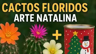 CACTOS: [DESAFIO] PINTE UM VASO...