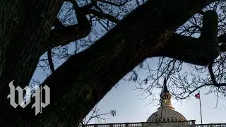 Democrats discuss special counsel's investigation