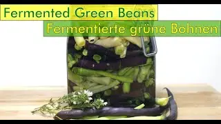 Fermentierte Bohnen - Konservierung ohne einfrieren oder einkochen