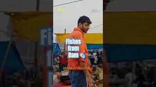 Never expected a fish market like this would be inside Haat Bazaar🫨&hearts;️