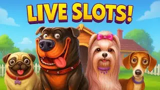 🎲 Spree Casino Stream &ndash; Saying Goodbye to Pragmatic!