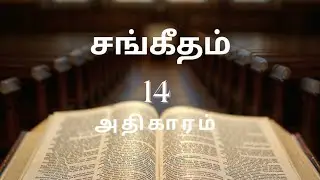 🌿 Tamil Audio Bible | Psalms &ndash; Chapter 14🌿 தமிழ் ஒலி வேதாகமம் | சங்கீதம் &ndash; அதிகாரம் 14
