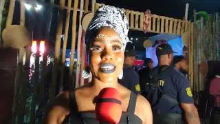 Action, Culture, Perfection. Audience Reactions to Adanisete: The Ancestors&rdquo;
