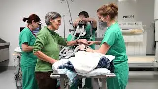Why Choose Cornell for a Veterinary Imaging Residency Program?