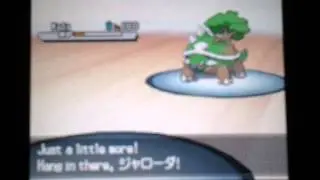 POKEMON WHITE 2 RU BATTLE VS TEHDEMONICK
