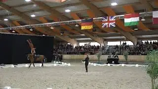 Kathrin Meyer freestyle