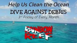 Dive Against Debris November 2019 | Rainbow Reef Dive Center Removes 450 lbs of Debris in One Dive