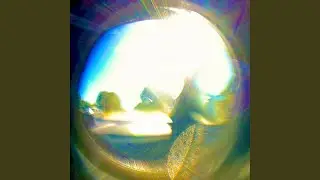 danse du turnesol