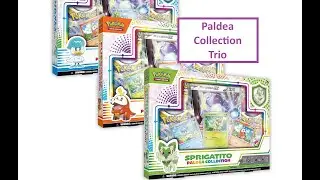 Paldea Collection Trio 💙💚🧡❤💜💛