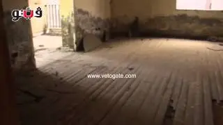 فيلا محمد نجيب تتحول إلى ملجأ للحيوانات الضالة