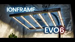 IONFRAME EVO6 | Herbal House NZ