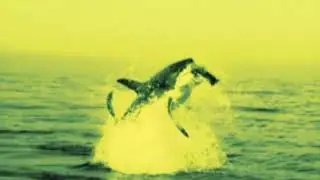 Boards of Canada - Seven Forty Seven (Slowed to 1 hour) (Headphones Recommended)