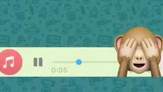 Immunitet gulmeli video WhatsApp sesli mesaj gulmeli video