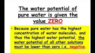 How much water potential of pure water. #science 