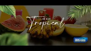Papi Dan - Tropical (Clipe Oficial)