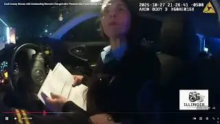 Sovereign Citizen Security Guard Gets Arrest By No Nonsense Illinois Sheriff's Deputies