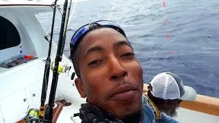 Marlin Fishing - Awesome Blue Marlin Fishing (Catch And Release) - Monster Fish