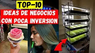 Ideas de negocios con poco dinero. Negocios con poca inversion