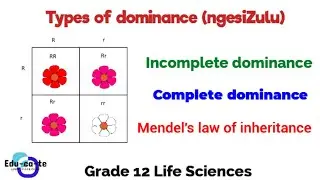 Types of dominance - grade 12 life sciences (zulu version)