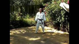 ABK Kata 2005 Dai Tasshi Branko Rusan