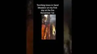 Castle SQF Complex Fire 2020