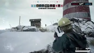 Vigor Highlights