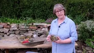 How to make a simple insect hotel, with Yvonne.