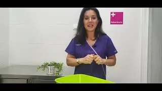 cómo conseguir orina de tu perro o gato