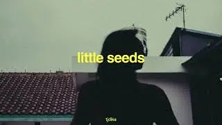 [NO COPYRIGHT MUSIC] Lo-fi Background Music (Tjdika - Little Seeds)