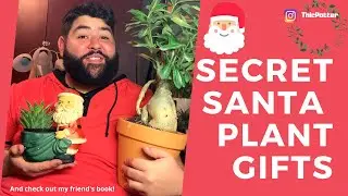Secret Santa Plant for a Coworker
