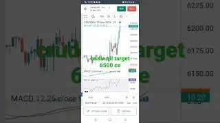 crude oil target 🎯🎯
