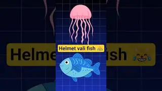 This Fish Has a Transparent Head (Real Creature!)