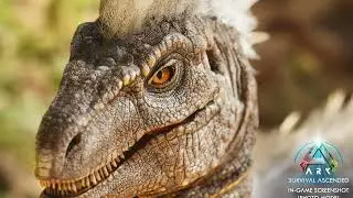 Major ARK News - ASA screenshot concerns; UE5 