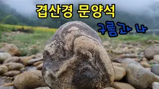 #호피석 #겹산경문양석 비내리는 뒷섬탐석 다시찾은 호피석산지