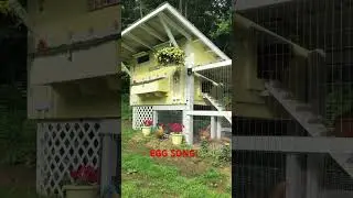 The Great Egg Song!