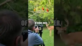 Starting a Home-Based Wildlife Photography Business