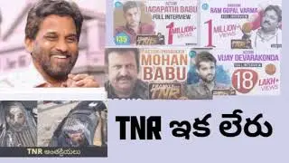 TNR NO MORE