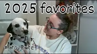 2025 Favorites: Adopting a dog, going on a cruise, promotions at work