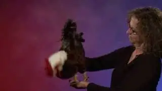 Folkmanis&reg; Rooster Puppet Demo - Retired