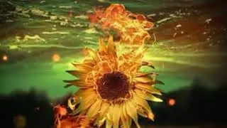 People (Dragon Version) - Neelix